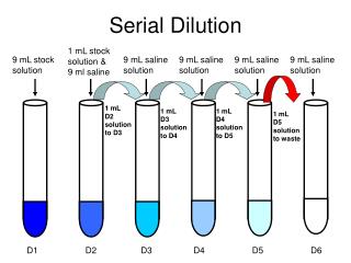 advantages of serial dilution
